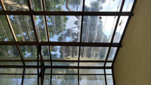Why Polycarbonate Rooflights Are the Smart Choice for Modern Buildings